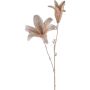 Rama decorativa de lirio UWENRA, beige-champán, 65 cm