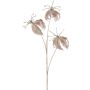 Rama decorativa de gloriosa BRONVIL, beige, 85 cm