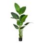 Planta artificial Strelitzia DREVORA, verde, 160 cm