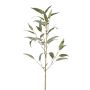 Rama artificial Eucalipto JURKA con frutos, verde-gris, 90 cm