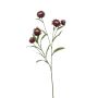 Rama decorativa de flor de paja SNAVIK, morada, 70 cm