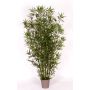 Bambú decorativo HILDEMARA, varas de bambú natural, crossdoor, 200 cm - Fabricado en Italia