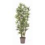 Bambú artificial KUSJA, varas de bambú natural, cruzadas, 175 cm - Fabricado en Italia