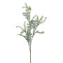 Rama decorativa hierba cana plateada KRANVE con flores, gris verdoso, 60 cm