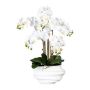 Orquídea Phalaenopsis artificial ZALBROK, jarrón decorativo blanco, raíces, blanco, 75 cm