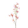 Rama decorativa Tweedia solanoides ZORHIL, rosa metalizado, 75 cm
