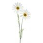 Margarina decorativa SOPY, blanca, 55 cm