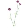 Rama decorativa de flores Bellis NIKSA, lila oscuro, 55 cm
