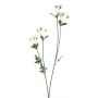 Rama decorativa de margaritas KASANI, crema, 60 cm
