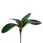 Hojas decorativas de orquídea Phalaenopsis ZULKRAM, varilla, raíces aéreas, 20 cm