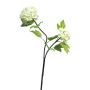 Rama decorativa de viburnum ALUO, crema, 50cm