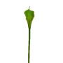 Cala artificial DOU, verde, 70cm