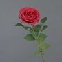 Rosa artificial KAILIN, roja, 65cm