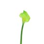 Cala artificial ZHILONG, verde claro, 55cm