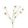 Centaurea artificial TAOTAO, rosa, 65cm