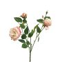 Rama de rosa decorativa SHIYUN, rosa-crema, 60cm