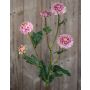 Crisantemo artificial RYON, rosa-verde, 70cm, Ø3-5cm