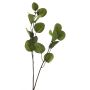 Rama decorativa de eucalipto AOSHAN, verde, 80cm