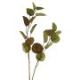Rama decorativa de eucalipto AOSHAN, marrón-verde, 80cm