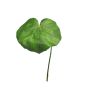 Galax artificial SHUJIA, 12 piezas, verde, 20cm