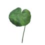 Galax artificial SHUJIA, 20 piezas, verde, 10cm