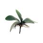 Hojas artificiales de orquídea Phalaenopsis XIAOQIN con raíces aéreas, 25cm