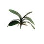 Hojas artificiales de orquídea Phalaenopsis XIAOQIN con raíces aéreas, 30cm