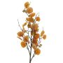 Rama decorativa de eucalipto YURUO, naranja, 90cm