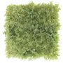 Alfombra de plástico YAMAN de helecho, romero, boj, verde, 50x50cm