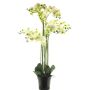 Orquídea Phalaenopsis artificial CHENXU, blanca, 110cm