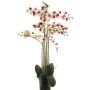 Orquídea Phalaenopsis artificial CHENXU, rosa-crema, 110cm
