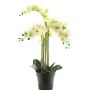Orquídea Phalaenopsis artificial CHENXU, blanca, 60cm