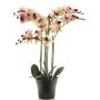 Orquídea Phalaenopsis artificial CHENXU, rosa-crema, 60cm