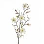 Rama de magnolia artificial LILO, crema, 75cm, Ø5-9cm