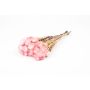 Ramo de flores secas BIBIANA, rosa pálido, 30-40 cm, Ø 15 cm
