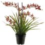 Orquídea Cymbidum artificial XINGUI, rojo oscuro, 70cm