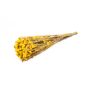 Espiga seca BRINJA, ramo, amarillo, 50-65 cm, Ø 18 cm