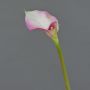 Callas artificial MARIOLA, rosa-blanco, 80cm, 8x15cm