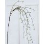 Rama de hoja de rosa artificial VALEA, brillo, verde, 115cm