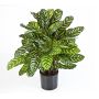 Calathea sintética BADU, grande, verde-amarillo, 80cm