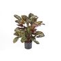 Calathea de imitación BIJAN, pequeño, verde-rojo, 80cm