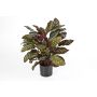 Calathea de imitación BIJAN, grande, verde-rojo, 80cm