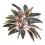 Cordyline sintética THAIS, en vara de fijación, verde-rosa, 50cm