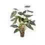 Alocasia sintética SHIVA, verde-blanco, 110cm