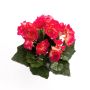 Begonia artificial IVANA con vara de fijación, fucsia, 20cm, Ø3-5cm