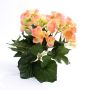 Begonia artificial IVANA con vara de fijación, melocotón, 20cm, Ø3-5cm
