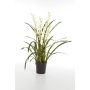 Orquídea Cymbidium sintética AMAYA, blanco, 95cm, Ø7cm