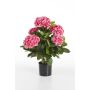 Hortensia flor artificial HARUKA, rosa, 55cm, Ø10-15cm