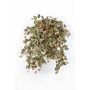 Hypoestes colgante artificial MALAIKA, vara fijación, verde-rojo, 50cm