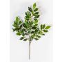 Rama de Ficus sintética AJITH, verde-blanco, 45cm
